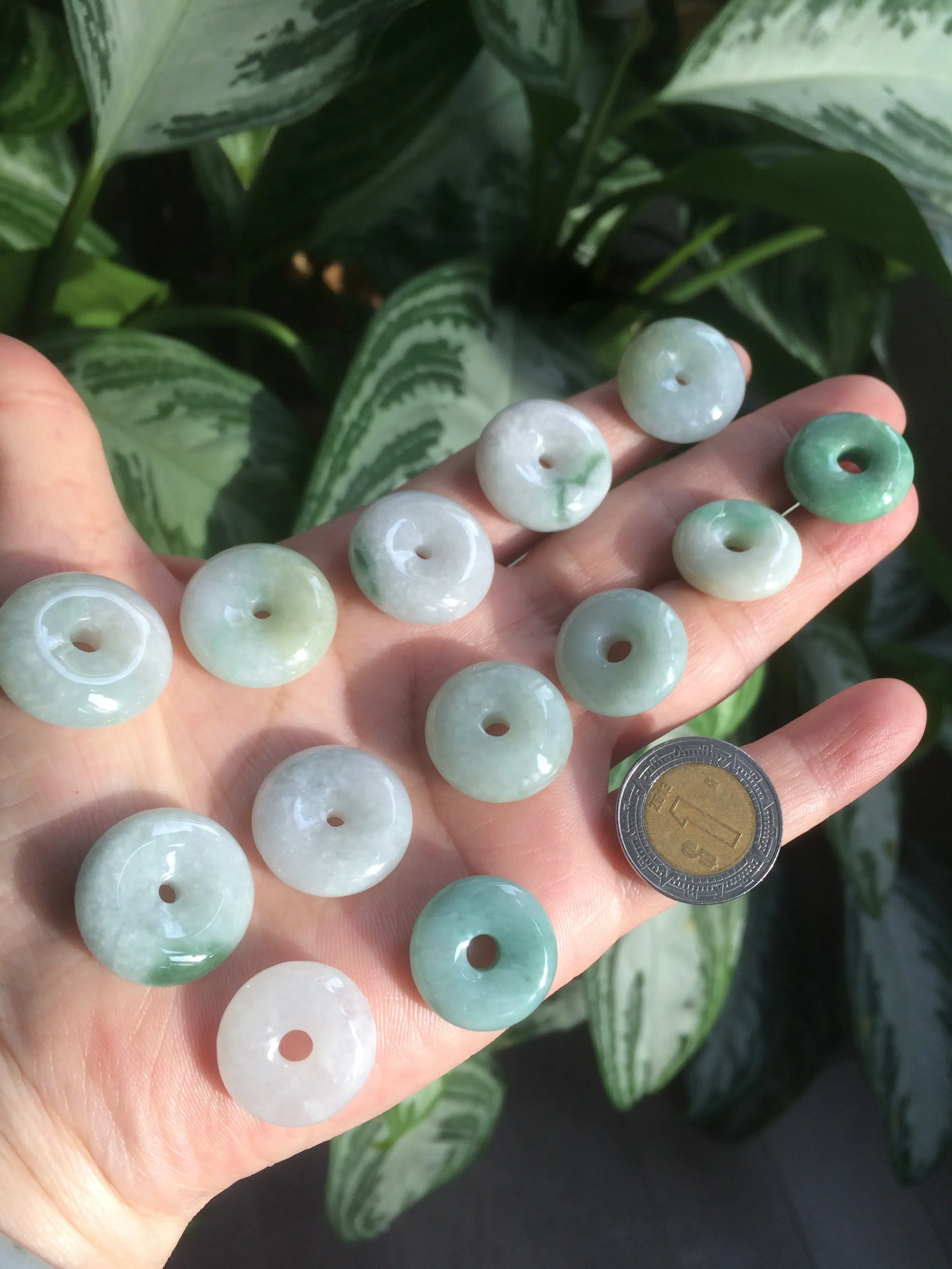 17.8-21mm Type A 100% Natural green/white Jadeite Jade Safety Guardian Button donut Pendant group AD33