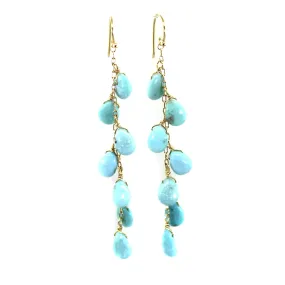 7 Drop Turquoise Earrings