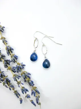 Chrysanthe: Sapphire Earrings - e635